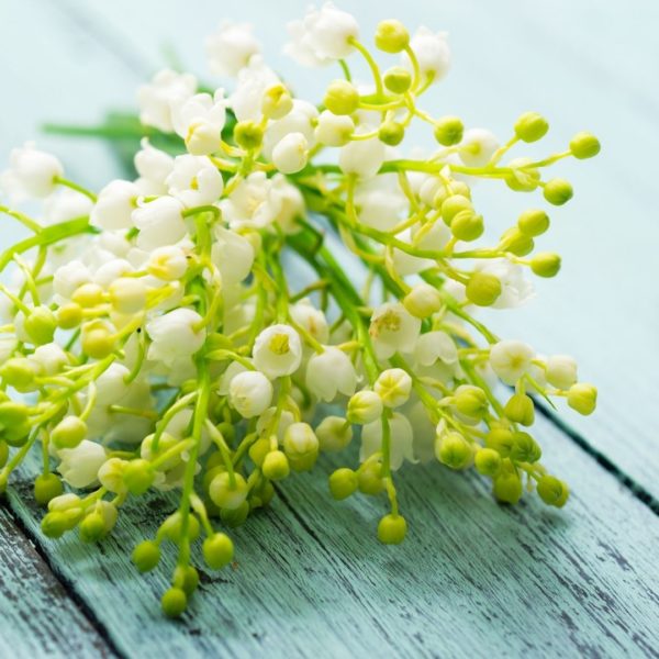 すずらんの日に贈りたい。可憐なムードに心ときめくブレスレット。